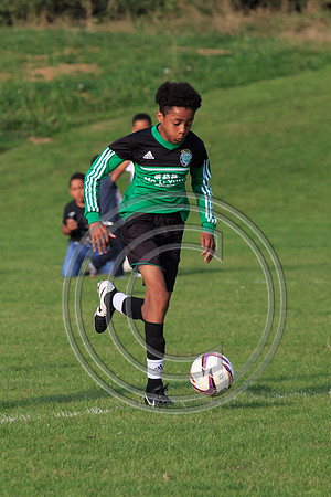 Eldon-2014 1350