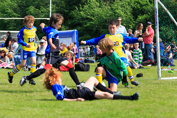 130629 Sandhurst Wanderers U8 at BTJ U9 Trny (130)
