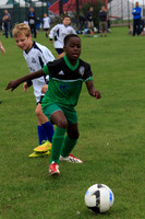 Eldon-2014 270