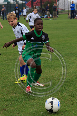 Eldon-2014 270