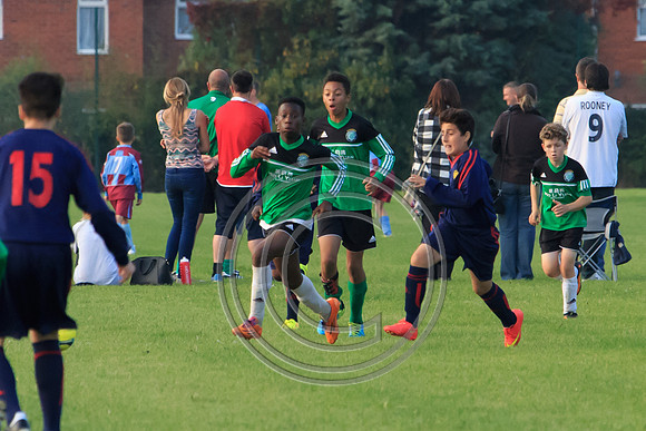 Eldon-2014 1455