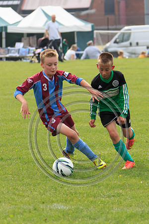 Eldon-2014 838