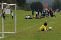Eldon-2014 819