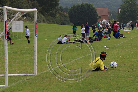 Eldon-2014 819