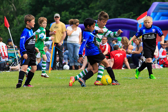130629 Sandhurst Wanderers U8 at BTJ U9 Trny (245)
