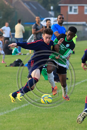 Eldon-2014 1491