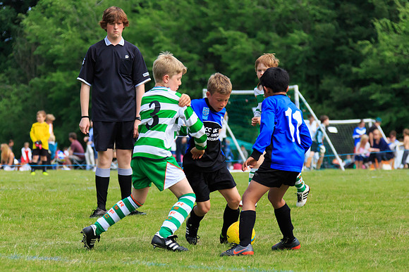 130629 Sandhurst Wanderers U8 at BTJ U9 Trny (251)