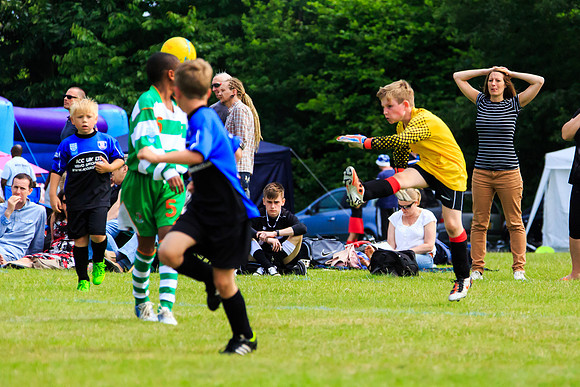 130629 Sandhurst Wanderers U8 at BTJ U9 Trny (273)