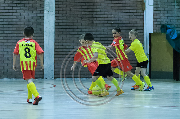 FT0515 (774)