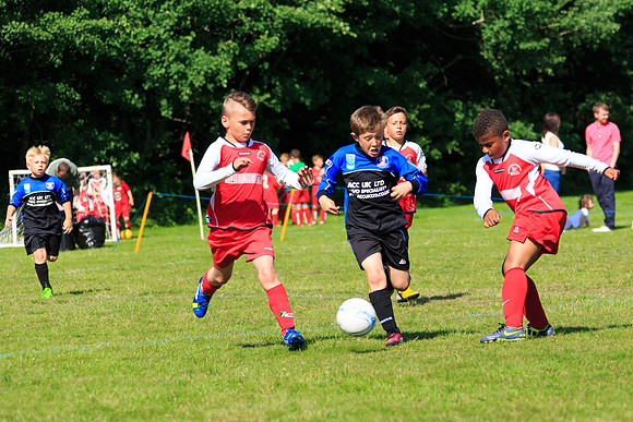 130629 Sandhurst Wanderers U8 at BTJ U9 Trny (319)