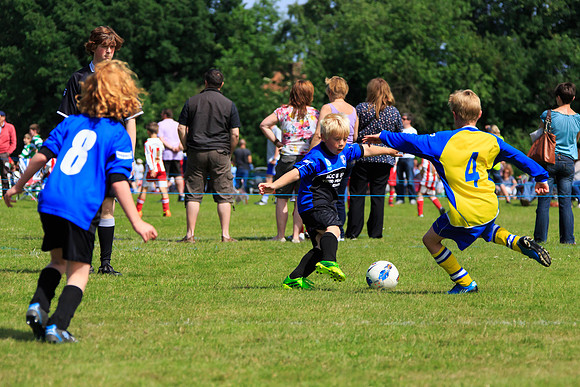 130629 Sandhurst Wanderers U8 at BTJ U9 Trny (165)