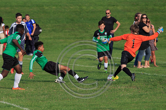 Eldon-2014 1298