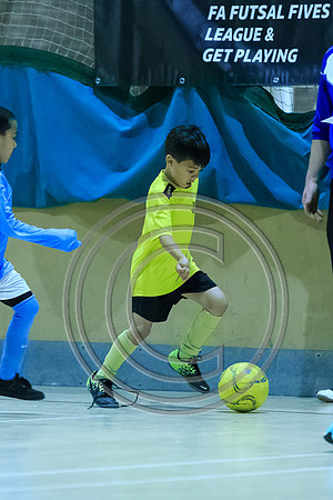 FT0515 (291)