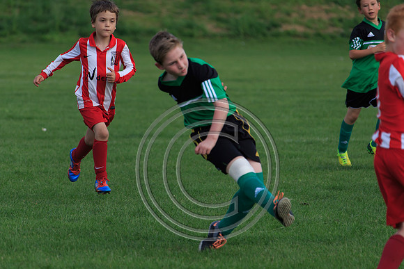 Eldon-2014 971
