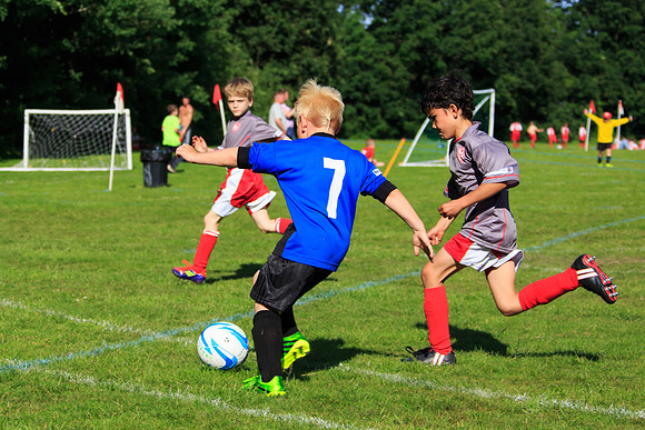 130629 Sandhurst Wanderers U8 at BTJ U9 Trny (360)