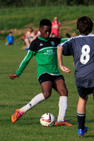 Eldon-2014 1293
