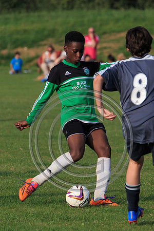 Eldon-2014 1293