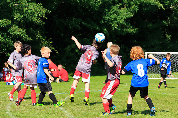 130629 Sandhurst Wanderers U8 at BTJ U9 Trny (365)