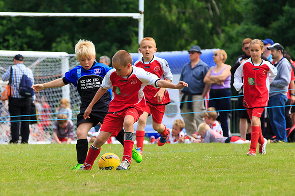 130629 Sandhurst Wanderers U8 at BTJ U9 Trny (13)