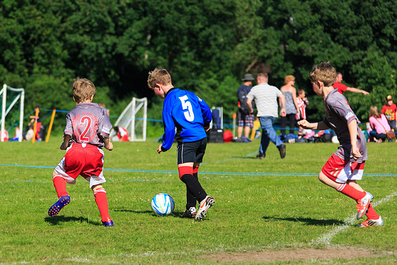 130629 Sandhurst Wanderers U8 at BTJ U9 Trny (399)
