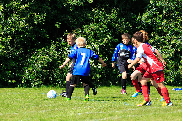 130629 Sandhurst Wanderers U8 at BTJ U9 Trny (304)