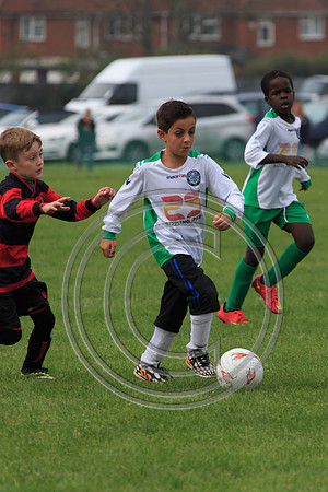 Eldon-2014 525