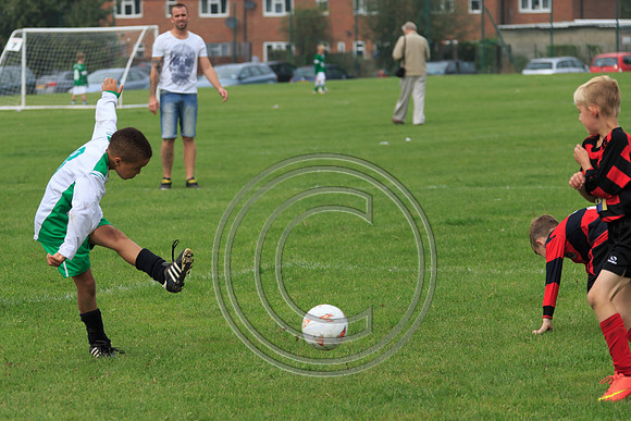 Eldon-2014 537