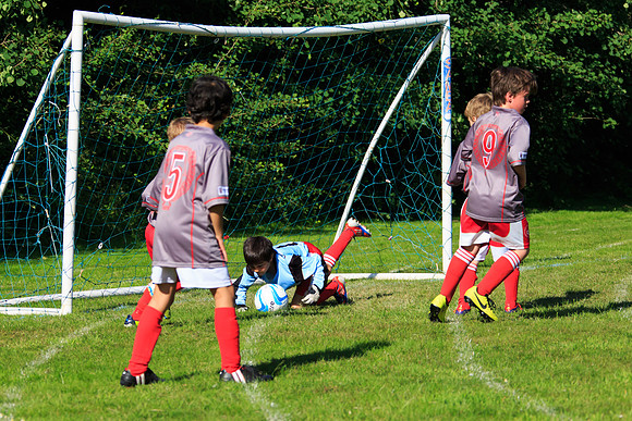 130629 Sandhurst Wanderers U8 at BTJ U9 Trny (445)