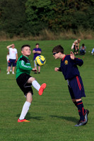 Eldon-2014 1096