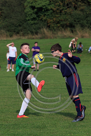 Eldon-2014 1096