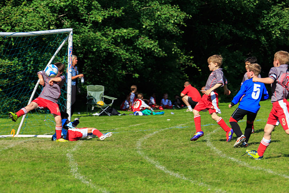 130629 Sandhurst Wanderers U8 at BTJ U9 Trny (345)