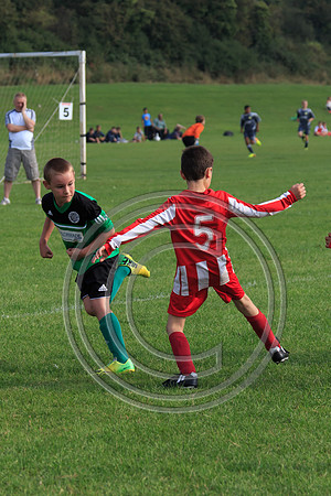 Eldon-2014 1021