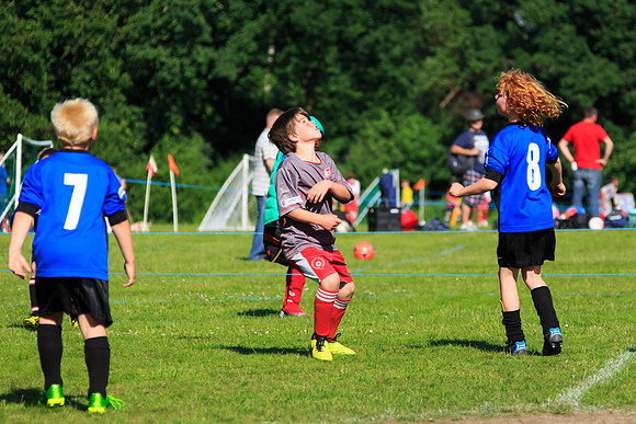 130629 Sandhurst Wanderers U8 at BTJ U9 Trny (407)