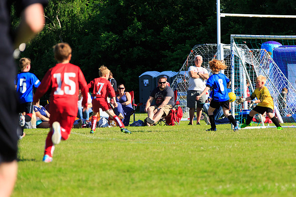 130629 Sandhurst Wanderers U8 at BTJ U9 Trny (497)