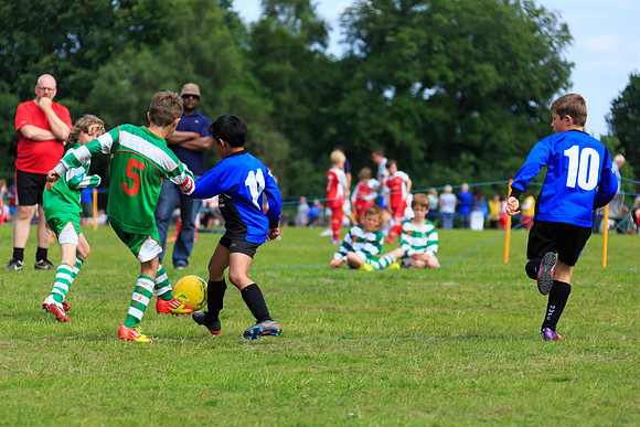 130629 Sandhurst Wanderers U8 at BTJ U9 Trny (211)