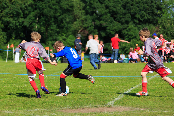 130629 Sandhurst Wanderers U8 at BTJ U9 Trny (398)