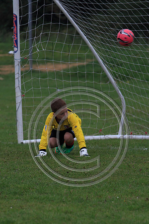 Eldon-2014 348