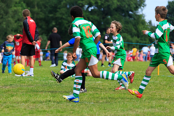 130629 Sandhurst Wanderers U8 at BTJ U9 Trny (207)