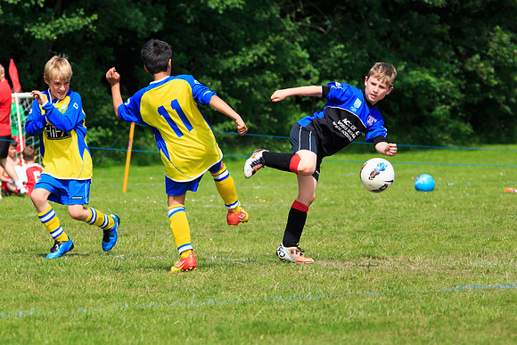 130629 Sandhurst Wanderers U8 at BTJ U9 Trny (151)