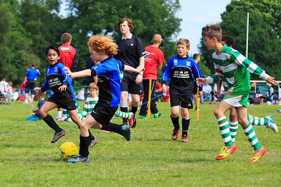 130629 Sandhurst Wanderers U8 at BTJ U9 Trny (193)