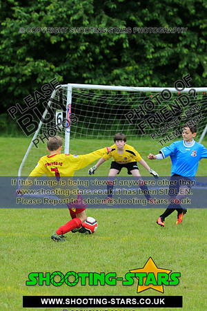 U13-2133