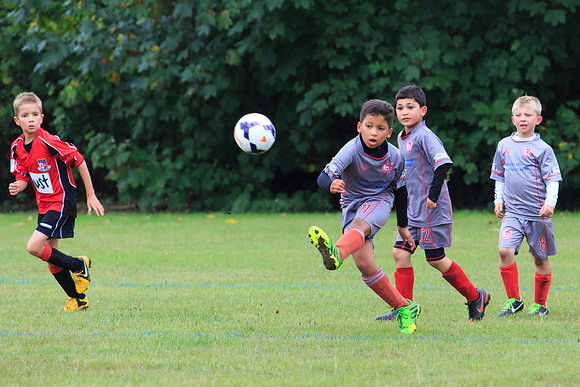 130914 B Cavaliers 2 Camberley Rascals 0 114