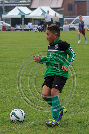 Eldon-2014 827