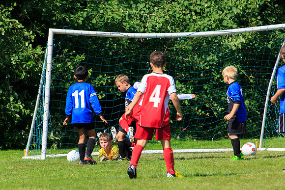 130629 Sandhurst Wanderers U8 at BTJ U9 Trny (276)