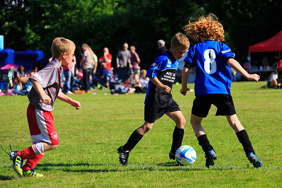 130629 Sandhurst Wanderers U8 at BTJ U9 Trny (377)