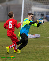 150207 Maidenhead U13 v Binfield Lions (8)