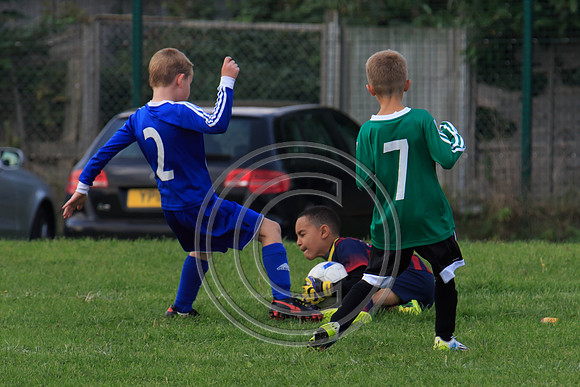 Eldon-2014 918