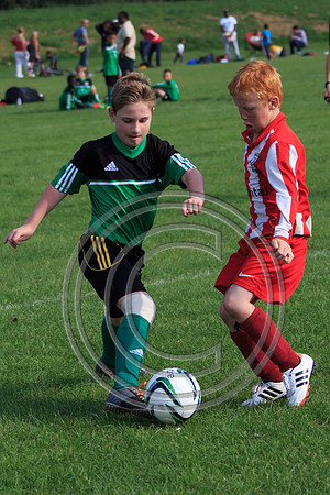 Eldon-2014 1031