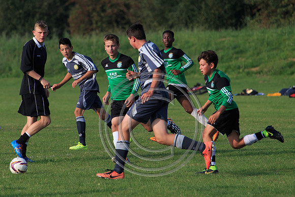 Eldon-2014 1311