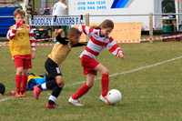 110604 Woodley Hammers Tourny